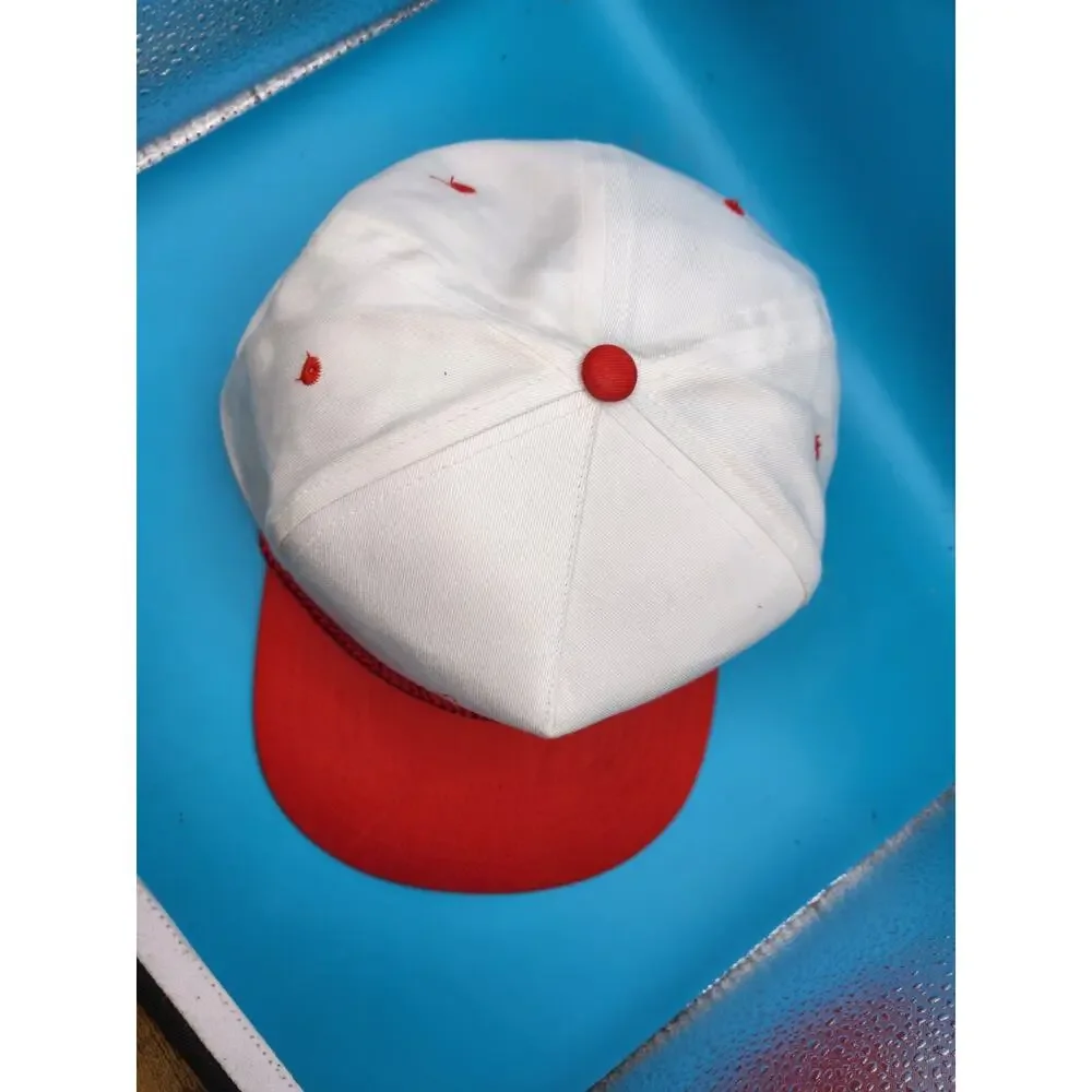 VINTAGE Air Force Association Hat Cap Adjustable Snapback afa